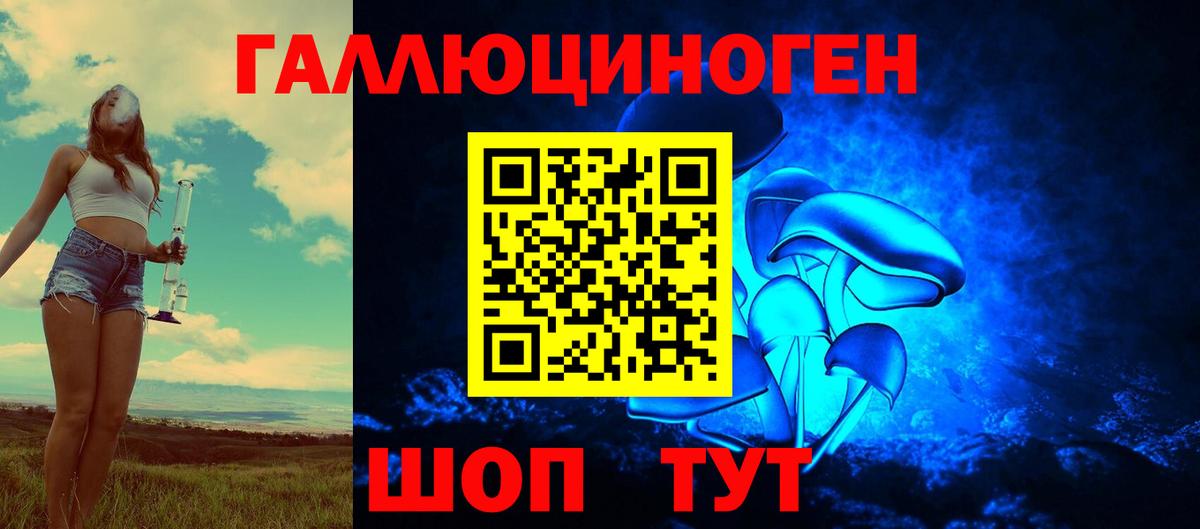 Галлюциногенные грибы Magic Shrooms  Вход с VPN  Дедовск  Псилоцибиновые грибы GOLDEN TEACHER 